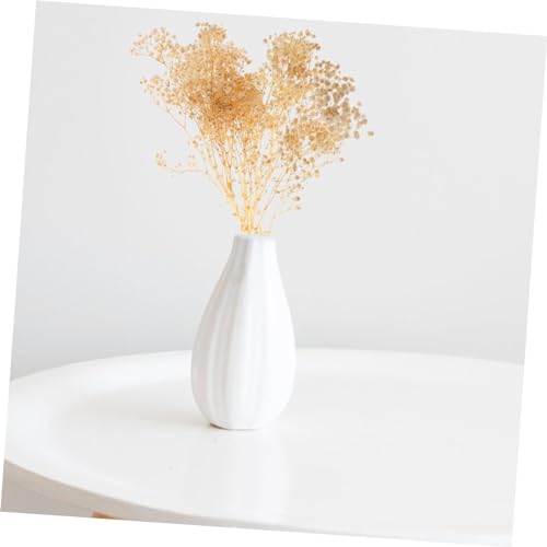 Ramo de flores secas de Gypsophila para decoración miniatura 6