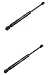 OEM Stabilus 2307500036 SL500 SL55 SL600 SL65 2003 2004 2005 2006 Rear Trunk Lift Shocks Gas Strut Dampers for Decklid Deck Lid Panel Spring Lifters Hatch Support Props Rods Arms R230