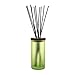 Chesapeake Bay Candle Reed Diffuser, Awaken + Invigorate (Lemongrass Eucalyptus)