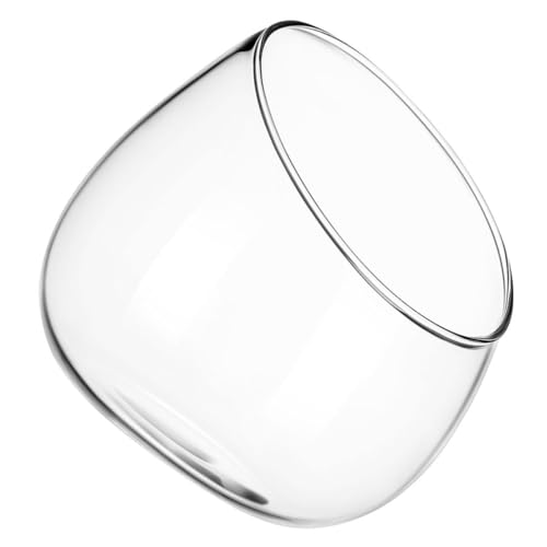 JEWEDECO Vase en Verre Transparent Rond pour Plantes et Mousse, Récipient de Terrarium Élégant à Ouverture Inclinée, pour Rebords de Fenêtres et Salons...