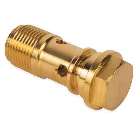 Banjo Bolt (2 Pieces)