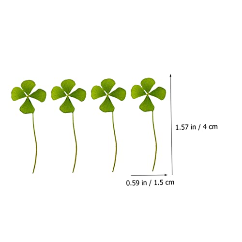 Dried Pressed Four-Leaf para Manualidades Pack 24 piezas miniatura 4