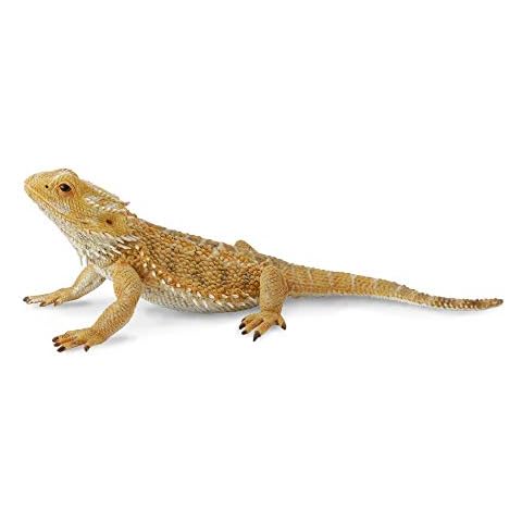 CollectA Bearded Dragon Lizard Cover