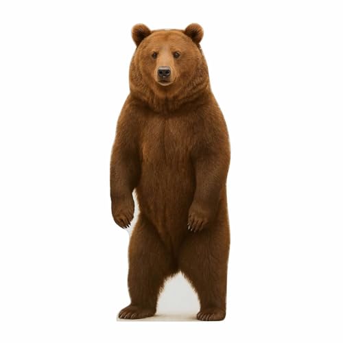 Image of Brown Bear Standup - 2FT Life Size Cardboard Cutout - A Fun Animal Standup for Photo Booths, Birthday Parties, and Events
