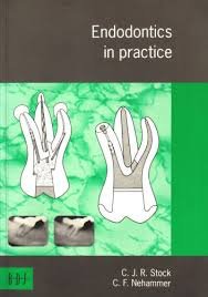 Paperback Endodontics In Practice Book