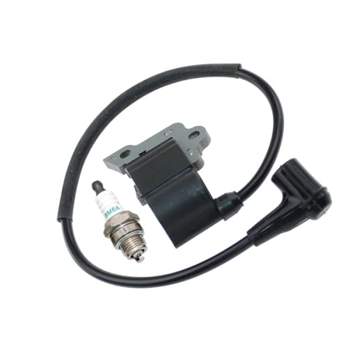 Bobine d'allumage EB802 solution pour démarrage difficile - 2