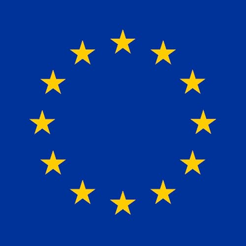 2025 EUCOS Symposium | J Albert & N Buckley | How should gov’ts think about & regulate social media?