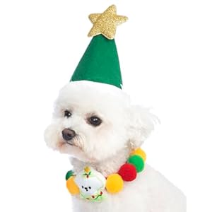 2PCS Dog Christmas Costume Cat Santa Hat with Xmas Scarf Cats Christmas Coolars for Small Dog Xmas Santa Clothes (S,Green)