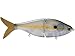 Livingston Lures B Viper 6 Blue Pearl Chartreuse