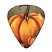 Thanksgiving Day Punmpkin Guitar Picks 12 Pack Bass Picks with Organizer Box Guitar Plectrum Includes Thin Medium Heavy Guitar Picks Ukulele Picks for Bass Acoustic Electric Guitars