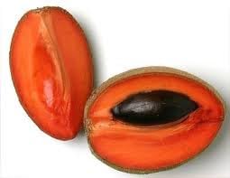 Fresh Mamey Sapote (Set of 3)