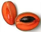 Fresh Mamey Sapote (Set of 3)