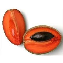 Fresh Mamey Sapote Set of 3