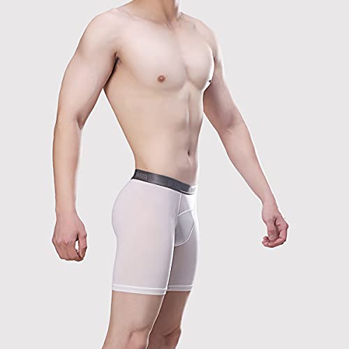 Men's Sexy Boxer See Through Ultra Thin Mesh Breathable Bikini Ice Silk Low Rise Pants Men New Feeling Underwear4