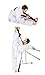 Si-Stretcher Stretching and Flexibility aid for Martial Artists, Dancers, Gymnasts, Cheerleaders, Physical Therapy, Yoga, Pilates & Athletes A Comfortable Stretching Band/Strap