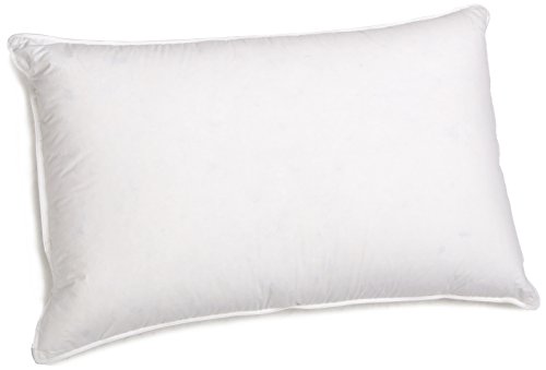 Downright Intera White Goose Down / White Goose Feather Pillow – 600+ White Goose Down – 100% Cotton – 100% Hypoallergenic – Queen 20 x 30 Downright Intera White Goose Down / White Goose Feather Pillow – 600+ White Goose Down – 100% Cotton – 100% Hypoallergenic – Queen 20" x 30"
