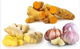 Fresh Ginger + Turmeric + Garlic Bulb Combo | Natural Wellness Blend | Freshly Harvested | 100% Organic | Perfect for Teas, Tonics, Smoothies & Cooking 3 Lbs Organic Turmeric, Ginger Root, Garlic Blend Box (1LB each) - Finest Wellness Tea Ingredients Best for Cooking