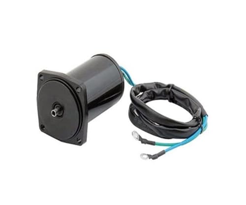 Moteur Trim Tilt pour DF40 DF50 idéal pour sécuriser vos sorties de pêche en mer 1999-2010