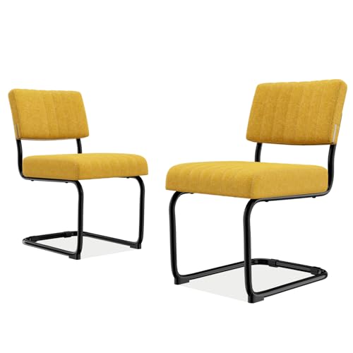HOTOSYCH Küchenstühle 2er Set, Stuhl Esszimmer Schwingstuhl mit...