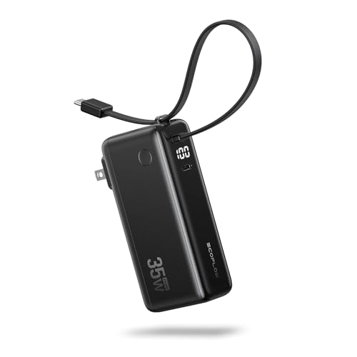 EcoFlow Rapid 3-in-1 Portable Charger