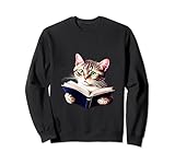 Katze liest Buch Siamkatze Bücher Kätzchen lesen