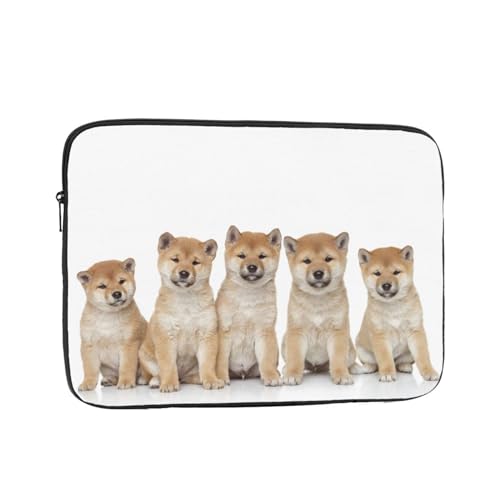 m[gp\RP[X Č  q ꂢ 60°ی ϏՌ p\RobO ^ p\RJo[ y Vv ʊw ʋ rWlX jp lC v[g 10 C`