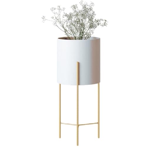 BRZU v^[X^h/[bNBoRj[pBiBrO[pBuBAAAAiɍœKBhKEhHB (TCY,zCg)