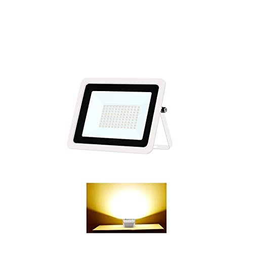 BINGNU Focos LED, DIRIGIÓ Luz de inundación 10 0W 50W 30W 20W 10W Reflectador Reflector Pared IP68 Iluminación Impermeable al Aire Libre Garden Spotlight para Garaje y jardín(1pcs,White Shell-WW_20W)