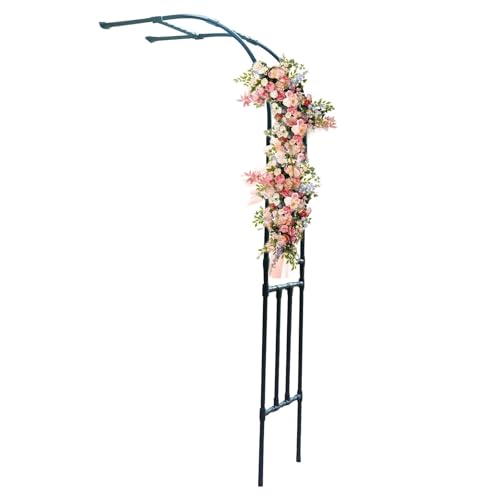 Demi-arche de jardin noire en treillis 240cm pour rosier