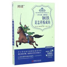 正版语文新课标课外阅读丛书钢铁是怎样炼成的注释点评考点教育部门推荐中小学生初一初二高中生语文新课标书名师导读文学