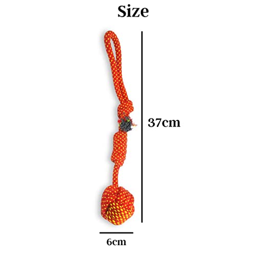 Image of Foodie Puppies Durable Pet Teething, Cleaning, Chewing, Biting Knotted Rope Toys for Dogs | Durable Dog Training Toy for Medium Dogs with 100% Natural Cotton (Handle Knotted Ball)