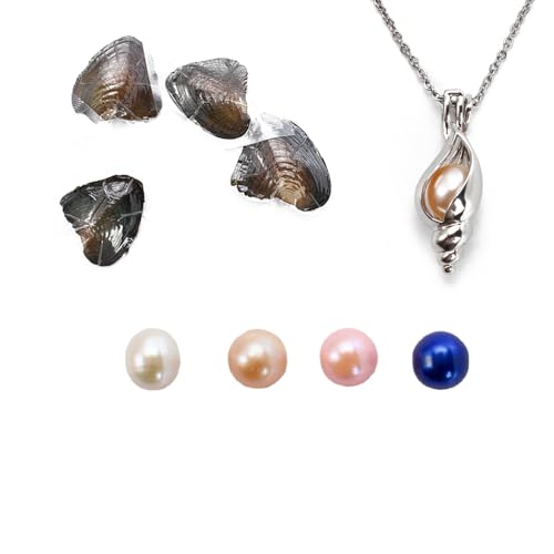 POSHOPS Natural Oyster Pearl Freshwater Oval Pearls Cultured Oysters Love Wish Pearls DIY Necklace Making Kit Anniversary Decoration for Jewelry Making Gifts (4PCs/Lot Conch Necklace)