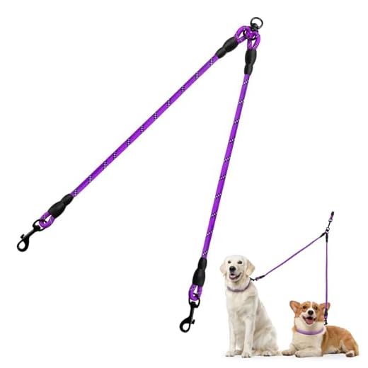 Taglory Double Dog Leash Coupler, Reflective 2 Dog Leash,30 inch, Purple