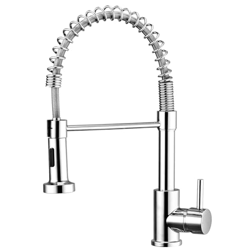 Peppermint Kitchen Tap with Pull Out Spray, Chrome