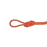 Mammut