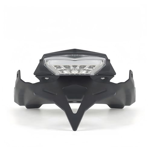 Support de plaque moto pour BMW F900R 2020 version queue courte