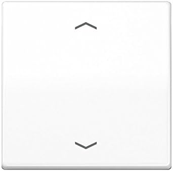 Jung Control Button Standard AS 1700 P WW Symbols Arrows Control Element Intelligent 4011377151499, White