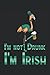 St. Patricks Day Irland Irisch Flamingo: Notizbuch 120 Seiten liniertes Papier Handliches Format (15,24 × 22,86 cm entspricht ungefähr DIN A5)