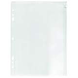 ADVANTUS Zip-All Pocket for Ring Binders, 8.5 x 11 Inches, Frosted, See-Through (ANG52)
