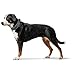 HUNTER 4016739676252 25-35Cm Divo Halskette Grau, Grau