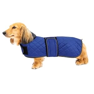 Geyecete Warm Thermal Quilted Dachshund Coat Dog Winter Coat with Warm Fleece Lining Outdoor Dog Apparel with Adjustable Bands for Medium Large Dog Blue S
