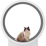 キャットホイール JPW-20250311-01