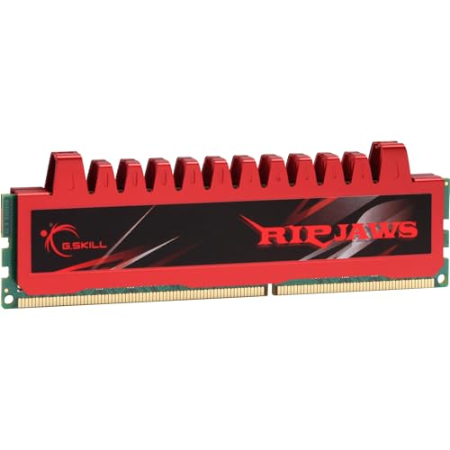 G.Skill RL Series RipJaws 4 Go DDR3 1066 MHz - vue 4