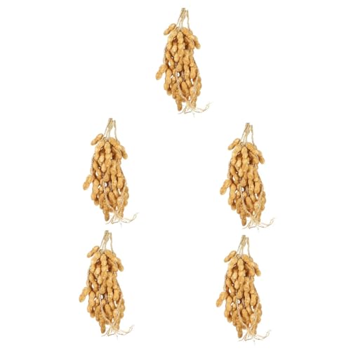 Simulations de cacahuètes Alipis pour l'éducation et les écoles