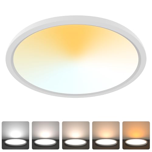 Aialun 12 Inch Led Flush Mount Ceiling Lights, 16/20/24W, 2700K-6500K 5 Color Selectable Dimmable Ceiling Light, 0.67