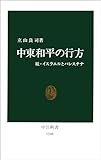 中東和平の行方　続・イスラエルとパレスチナ (中公新書)