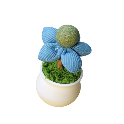 �C���^���N�V���� �C�k�n�b�J ���A�� �q�L�p �������� ����ŗV�� �����G���^�[�e�C�����g ���炩���C�k�n�b�J �{�[�� �C���^���N�V���� �L�̂�������