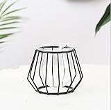 Florero de vidrio Florero pequeño nórdico Jarrones de cristal clear con forma de copa de metal geométrica Línea de hierro para macetero hidropónico Flores Mesa de decoración para el hogar (Black, A)