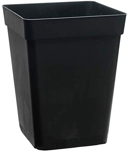 Desconocido Pack de 10 macetas cuadradas Negras de 3 litros de 15x15x20 cm.