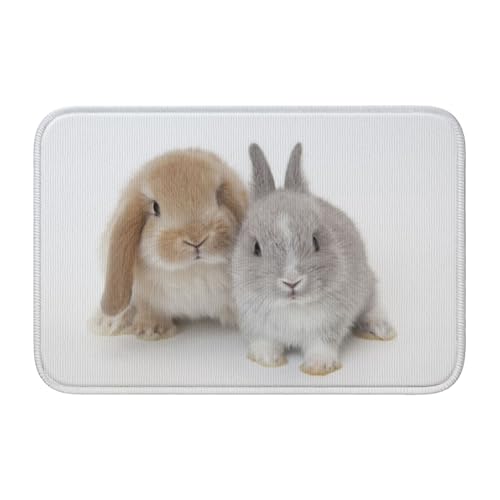 玄関マット 兎 動物図案 ウサギさん バスマット 室内 屋外 足拭きマット カーペット おしゃれ 北欧 滑り止め付き 洗える ベットルーム 浴室 台所 寝室 業務用 家庭用 40×60cm